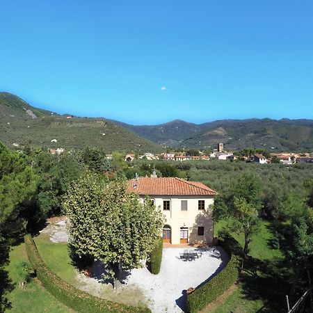Agriturismo Villa Rosselmini Calci Dış mekan fotoğraf