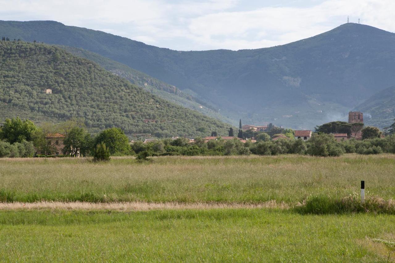 Agriturismo Villa Rosselmini Calci Dış mekan fotoğraf
