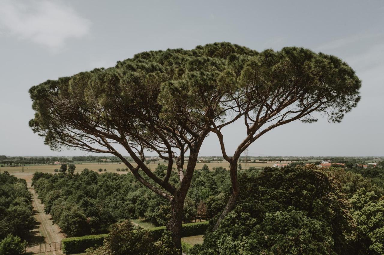 Agriturismo Villa Rosselmini Calci Dış mekan fotoğraf
